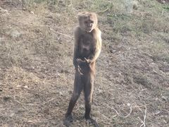 -合肥野生动物园