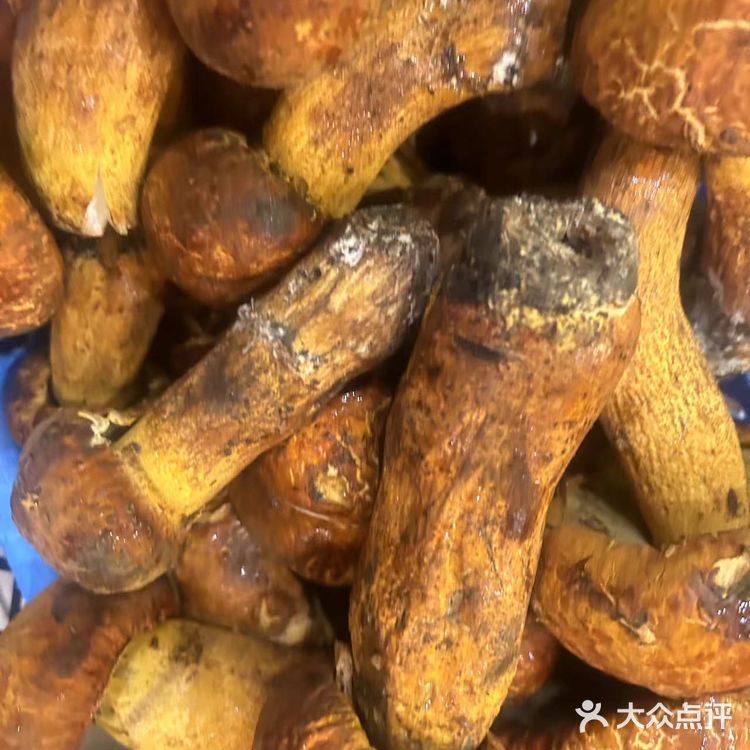 家的味道：牛杂菌菇汤