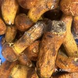 家的味道：牛杂菌菇汤