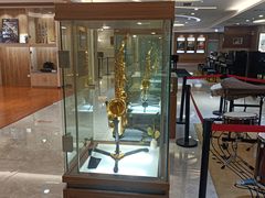 -知音艺术教育培训·钢琴培训·音乐培训(河西金鹰世界校区)