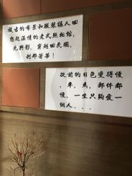 -梧桐照相馆(维景国际店)