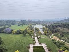 -张坝桂圆林公园
