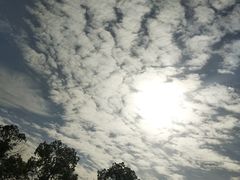 -苏州国际教育园