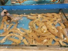 -海铺·渔家虾水饺(皇姑店)