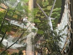 -KKV(重庆光环购物公园店)