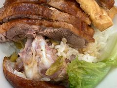 原只鹅腿饭-陈鹏鹏潮汕菜(宝安机场T3航站楼店)