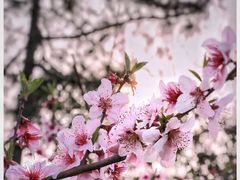 -秦香阁·西北家常菜(徐汇日月光中心店)