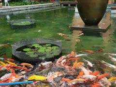 -三亚湾海居铂尔曼度假酒店