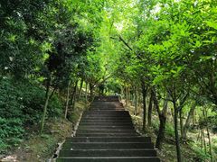 -凤栖山