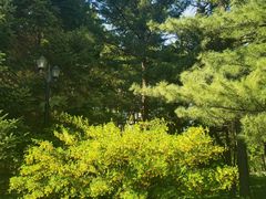 -黑龙江省森林植物园