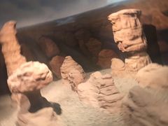 -甘肃地质博物馆