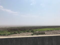 -南汇嘴观海公园