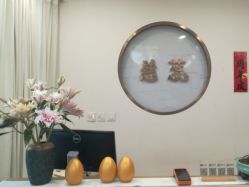 -慈蕊美容养生·专业经络调理