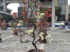 -荆川公园