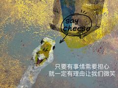 -宝龙艺术中心(七宝宝龙城店)