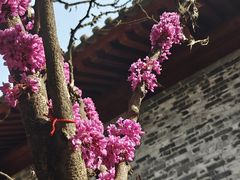 -万寿八仙宫