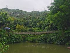 -青青世界