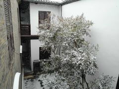 -何园
