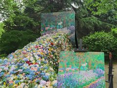 -上海共青森林公园