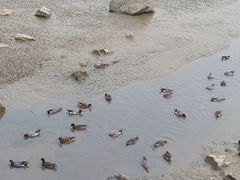 -深圳湾公园(南山区)