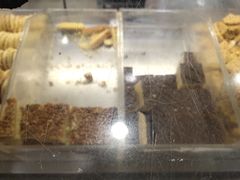 -上海哈尔滨食品厂(汇联商厦店)