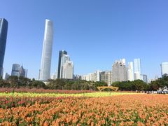 -海心沙亚运公园