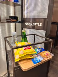 -崇尚GAVIN STYLE臻选