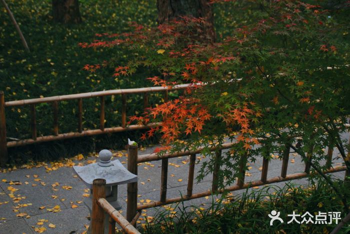 云栖竹径图片