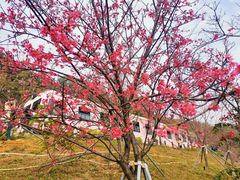 -小南山公园