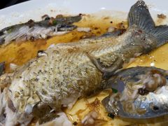 蒜头豆豉蒸边鱼-飞尝蚝·顺德菜·鱼生(顺德总店)