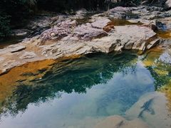 -广州白江湖森林公园