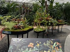 -上海鲜花港