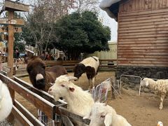 -HERRE·FARM 赫尔露营农场·团建聚会包场