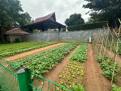 -三亚海棠湾万丽度假酒店