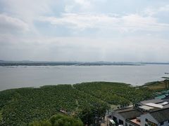 -莲花岛景区