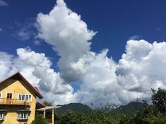 -黄色小屋