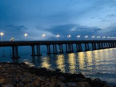 -宝安西湾红树林湿地公园