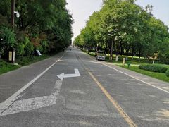 -大明宫国家遗址公园·御道广场