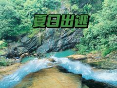 -广州白江湖森林公园