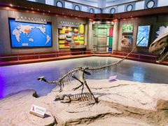 -自贡恐龙博物馆