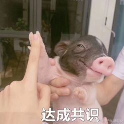 -MIVI·纹眉半永久野生眉