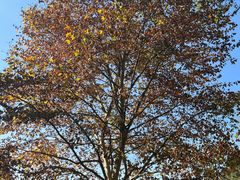 -黔灵山公园-南门售票处