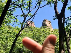 -大岭沟猕猴桃谷风景区