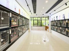 -翊宠yipet猫狗购宠庄园犬舍•猫舍