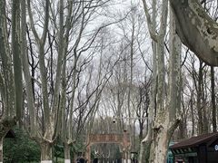 -灵谷景区