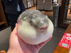 -永安鱼庄·镇江菜(东吴路店)