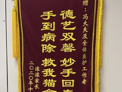 -中农国际动物医院24小时·猫科·骨科·急重症中心
