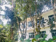 -中国科学院西双版纳热带植物园