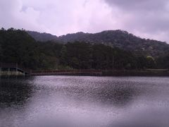 -海南热带雨林国家公园吊罗山景区