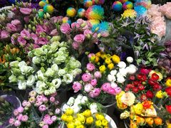 -双季花艺园艺市场(浦东店)